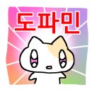 진배기 아나고 곰장어 이미지