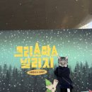 예성포토 | [일상] 2박3일 부산 여행 (P들의 무계획, 성공적!)