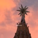 The Magic Top 8 | 🇪🇸 스페인여행 | 스페인에서 무얼 할까? : 바르셀로나 관광지 추천