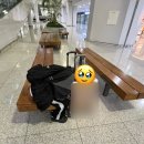 앤팀도 나도 조금만 덜 바빴으면 조켄네