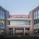 웰빙요가(오전) | 롯데아울렛 의왕점 방문 후기: 자연 속에서 누리는 웰빙 나들이 코스