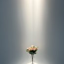 보습, 진정관리까지 케어해주는 야당왁싱 순수슈가링