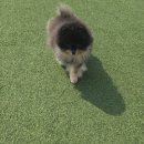 호텔아로하 이미지