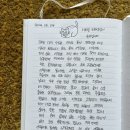 스테이 청춘 이미지