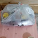 구구족 강남 족발 배달 후기 내돈내산