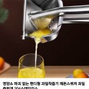 영양소 파괴 없는 핸디형 과일착즙기 이미지