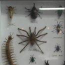 새터민박 이미지