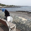 오세열농장 이미지