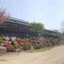 아라리펜션 이미지