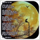 만월 이미지
