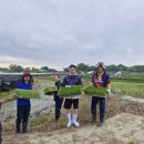 [남선교회] 장학사업 논농사 모내기 (2026.05.23 토) 이미지
