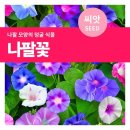 마이플랜트