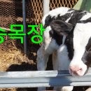 석송농장