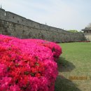 화서문로터리 이미지