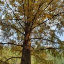 한국폴리텍 III 대학 강릉캠퍼스 이미지