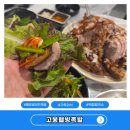 웰빙요리 | 웰빙 샐러드 족발 가족외식하기 좋은 고봉웰빙족발과 백합칼국수 후기