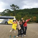 소나무헤어아트 이미지