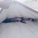 제이드컴 네이버블로그