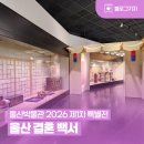 울산호텔 | [블로그 기자] 울산박물관 2026 제1차 특별전 "그 시절, 우리들의 약속" <울산 결혼 백서> 관람 후기
