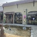 썸데이제로 | 둔산동맛집브런치 대전브런치데이트 파스타맛집 썸데이로맨스 찐후기