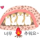 마댕 이미지