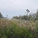 방아다리근린공원 이미지