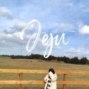 이시돌목장 | 성이시돌목장 산책 후기｜제주 서쪽에서 말 보러 조용히 들렀다가 오래 남은 시간