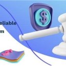 바네스(VANESSE) 이미지