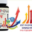 키움쇼핑