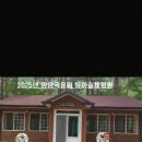임광어린이집 Daum카페