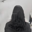 모이룸 이미지