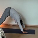 프라나요가 | 요가 처음이신가요? 제주 프라나요가 첫 수업 후기와 변화 이야기