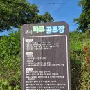 파크골프장 | 용인 처인구 포곡 파크골프장 이용 후기