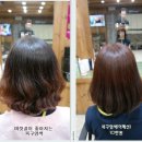 염색&클리닉