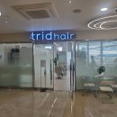 트리드헤어