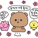 전북도청도서관 | 10월 넷째주 주간 일기