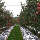 뉴한길공인중개사사무소 이미지