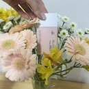 파데프리 앱시디프 톤업선크림 후기🌸