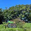 더순한빵집 이미지