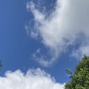 오늘떡본김애 이미지