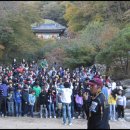 신명초등학교 이미지