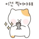 개화아이래쉬 - 천안시 동남구 터미널4길 21-1 | 개화아이래쉬