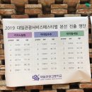 대일관광