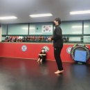 대림키즈체육관 이미지