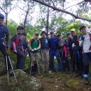 매남이길 이미지