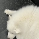 약손명가 에스테틱 위례점