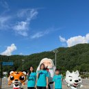 이루다 태권도 이미지