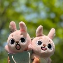 (주)카에데 | 데이식스 도쿄 콘서트 2일차 후기_260426
