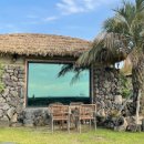 제주그밤 이미지