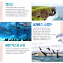 넘버원레져 이미지